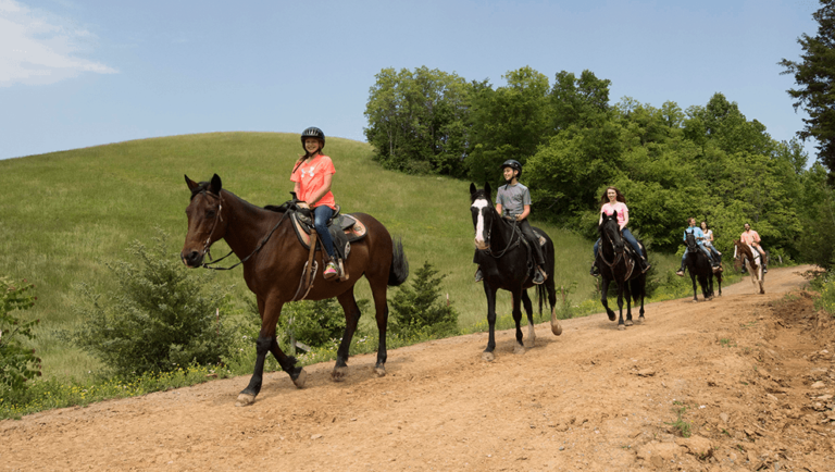 Our guided horseback tours will teach you about the Smokies