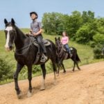 Group horseback riding tours