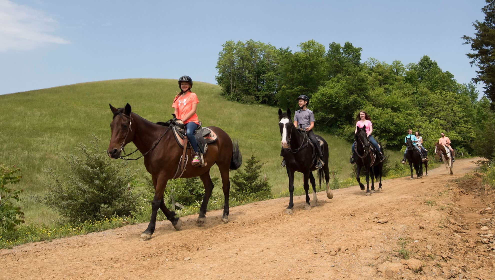 Five Oaks Riding Stables