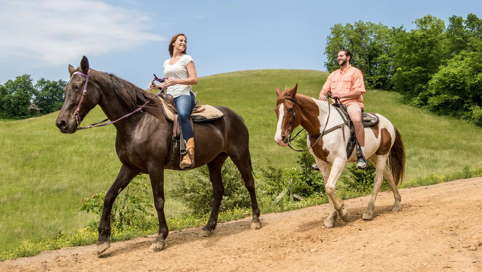 Horseback riding tours in the Smoky Mountains